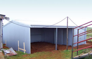 Farm Storage Steel Structure Building