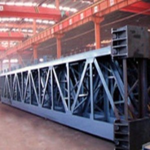 Light Steel Structure Frame (SSF-003)
