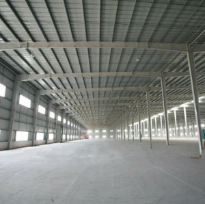 Steel Structure Workshop/Warehouse/Building (SSW-014)