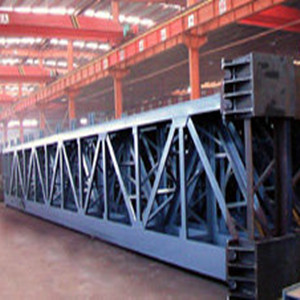 Steel Structure Frame (SSF-002)