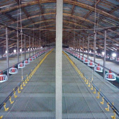 Steel Structure Poultry Shed (PS-001)