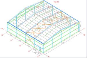 Steel Structure (QDSS-002)